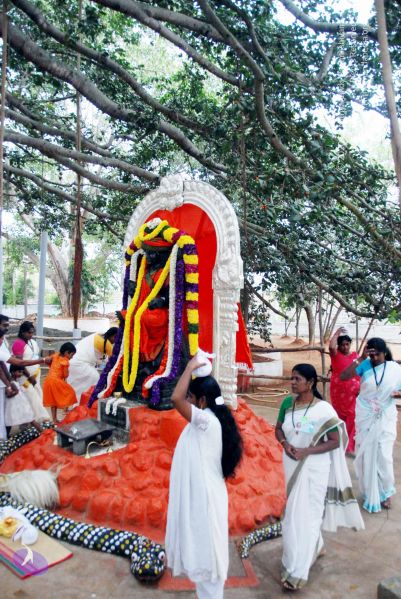 File:20091228DSC 7500 CMP WM001.jpg