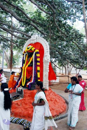 20091228DSC 7501 CMP WM001.jpg