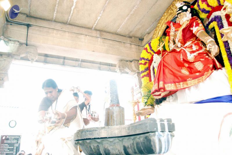 File:20091228DSC 7525 CMP WM001.jpg