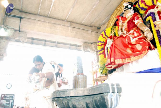 20091228DSC 7526 CMP WM001.jpg