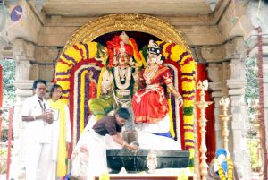 20091228DSC 7528 CMP WM001.jpg