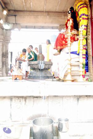 20091228DSC 7538 CMP WM001.jpg