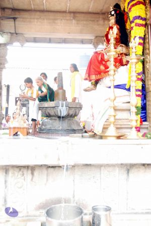 20091228DSC 7540 CMP WM001.jpg