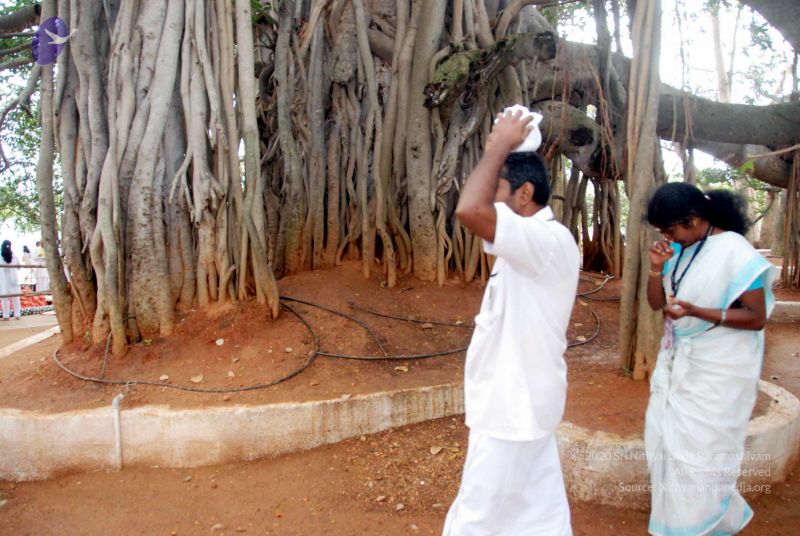 File:20091228DSC 7549 CMP WM001.jpg