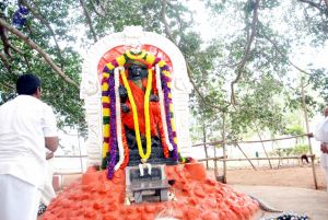 20091228DSC 7550 CMP WM001.jpg