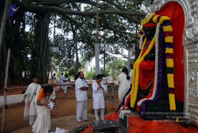 20091228DSC 7557 CMP WM001.jpg