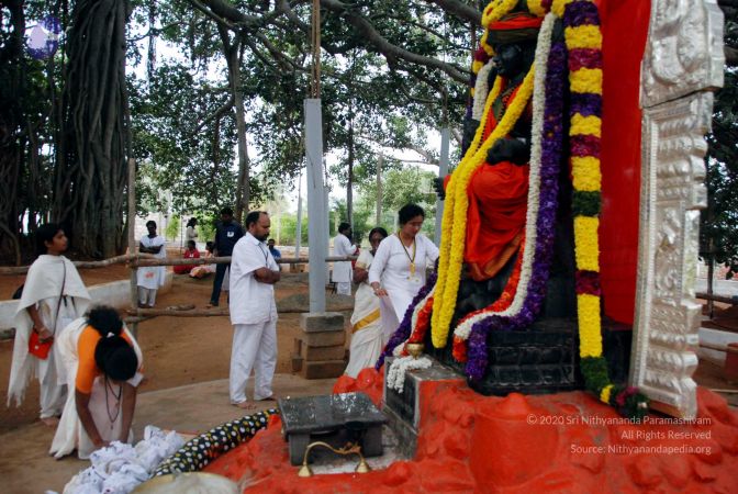 20091228DSC 7558 CMP WM001.jpg