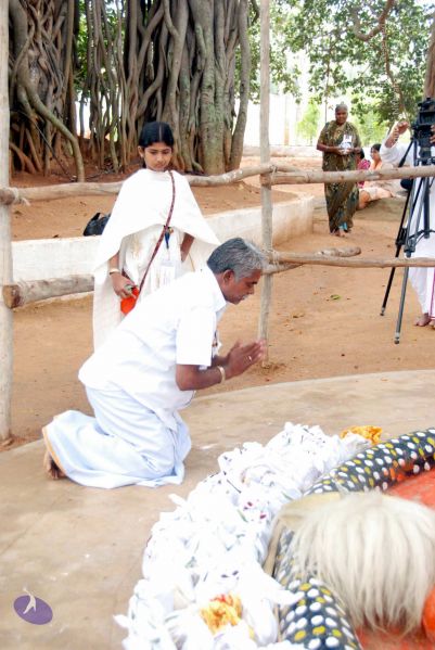 File:20091228DSC 7564 CMP WM001.jpg