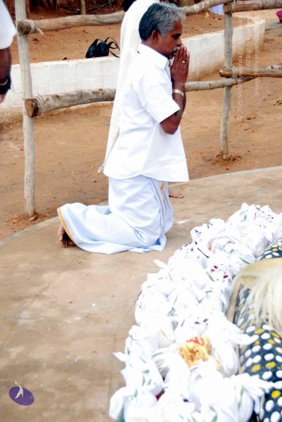 File:20091228DSC 7567 CMP WM001.jpg