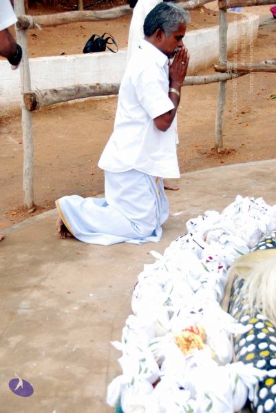 File:20091228DSC 7568 CMP WM001.jpg