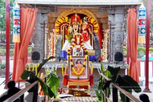 20091228DSC 7665 CMP WM00100 HOMA.jpg