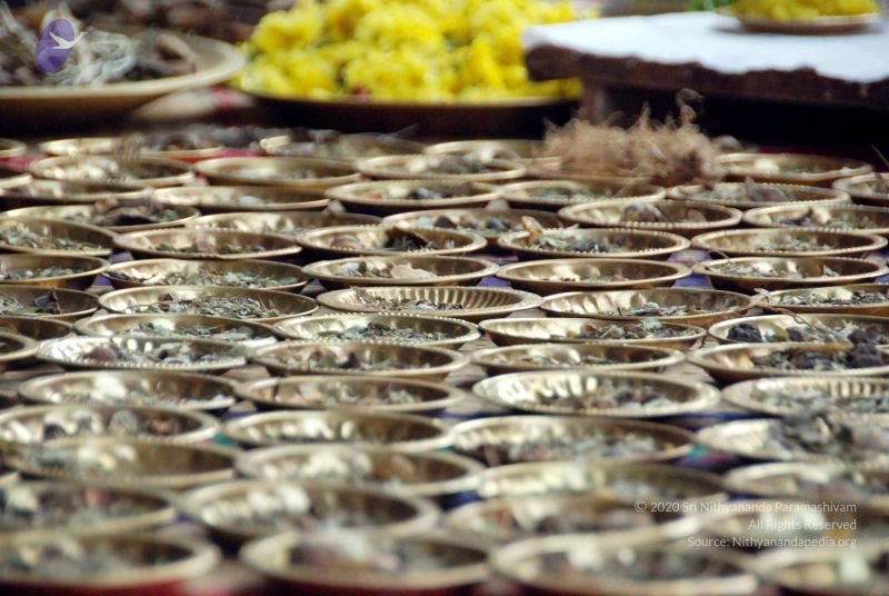 File:20091228DSC 7675 CMP WM00100 HOMA.jpg