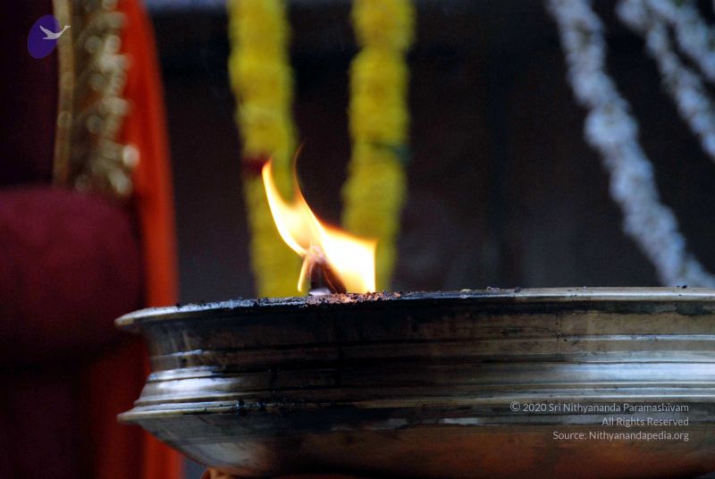 File:20091228DSC 7689 CMP WM00100 HOMA.jpg