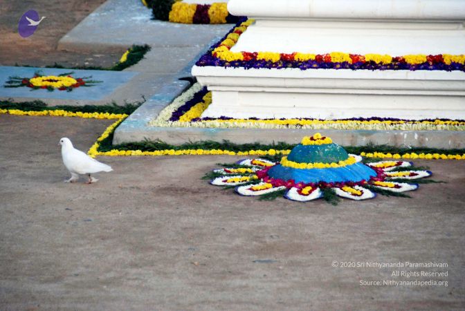 20091228DSC 7698 CMP WM00100 HOMA.jpg