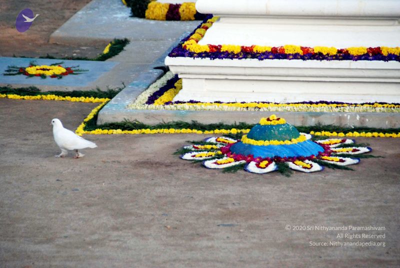 File:20091228DSC 7698 CMP WM00100 HOMA.jpg