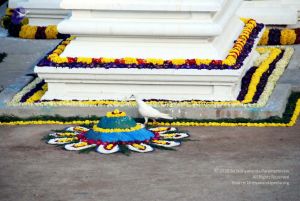 20091228DSC 7699 CMP WM00100 HOMA.jpg