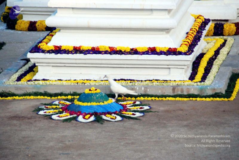 File:20091228DSC 7699 CMP WM00100 HOMA.jpg