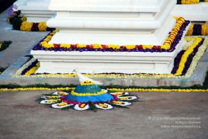 20091228DSC 7700 CMP WM00100 HOMA.jpg