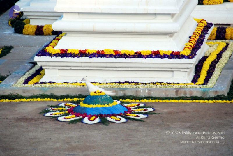 File:20091228DSC 7700 CMP WM00100 HOMA.jpg