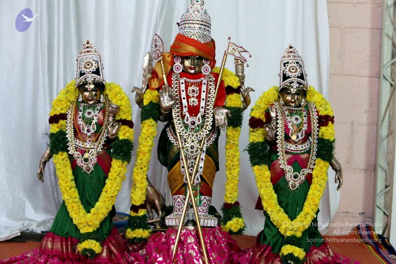 File:20091228IMG 0536 CMP WM00100.jpg