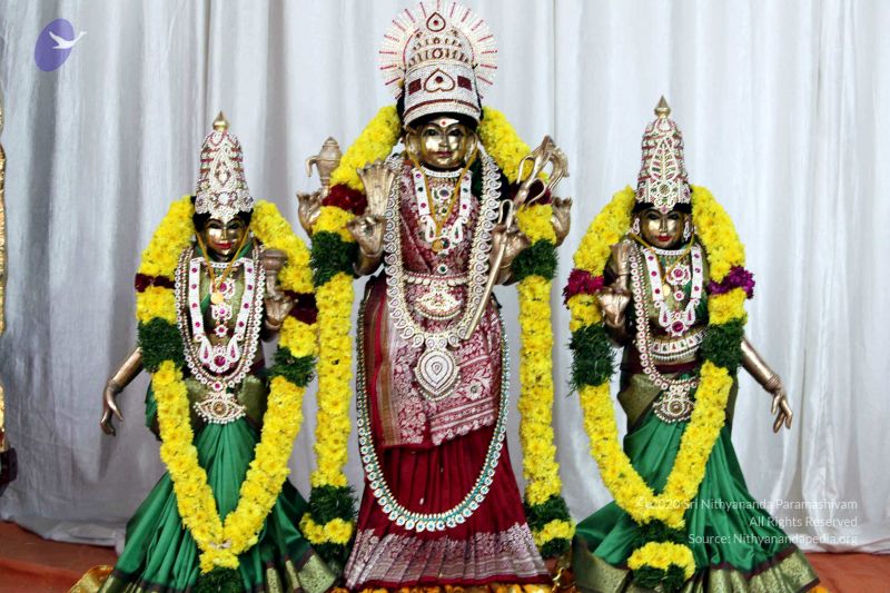 File:20091228IMG 0538 CMP WM00100.jpg