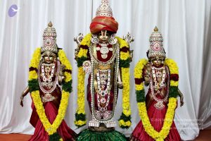 20091228IMG 0540 CMP WM00100.jpg