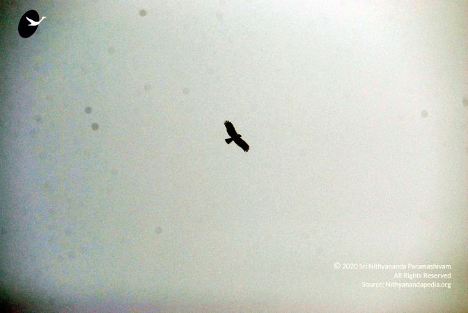 20091229DSC 7947 CMP WM00100 Procession.jpg