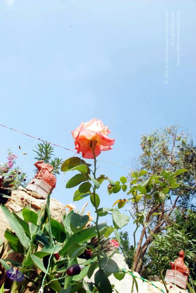 File:20091229DSC 7977 CMP WM00100 Procession.jpg