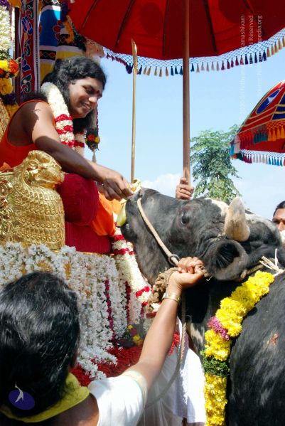 File:20091229DSC 8522 CMP WM00100 Procession.jpg
