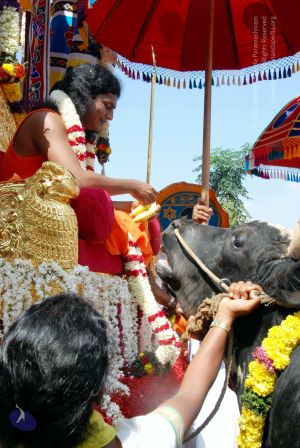 20091229DSC 8523 CMP WM00100 Procession.jpg