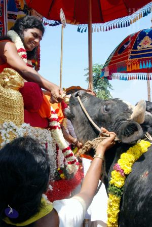 20091229DSC 8524 CMP WM00100 Procession.jpg