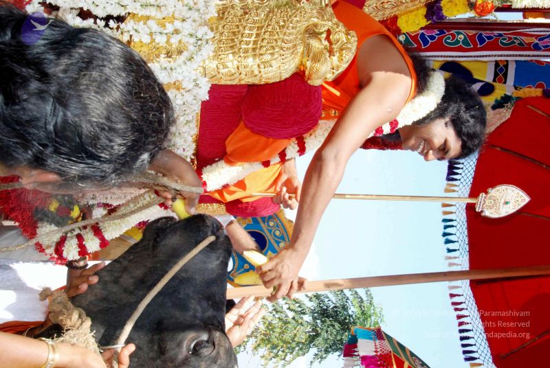 File:20091229DSC 8528 CMP WM00100 Procession.jpg