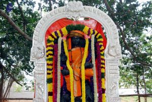 20091229DSC 8665 CMP WM001.jpg