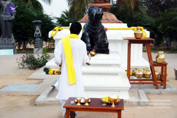 20091229DSC 8698 CMP WM001.jpg