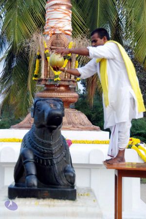 20091229DSC 8717 CMP WM001.jpg