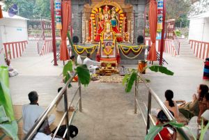 20091229DSC 8755 CMP WM001.jpg