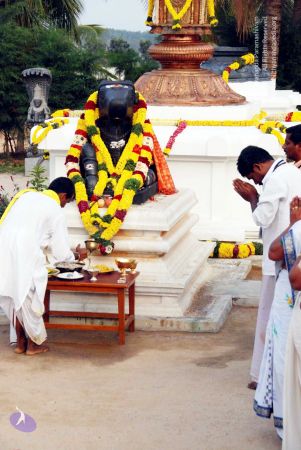 20091229DSC 8778 CMP WM001.jpg