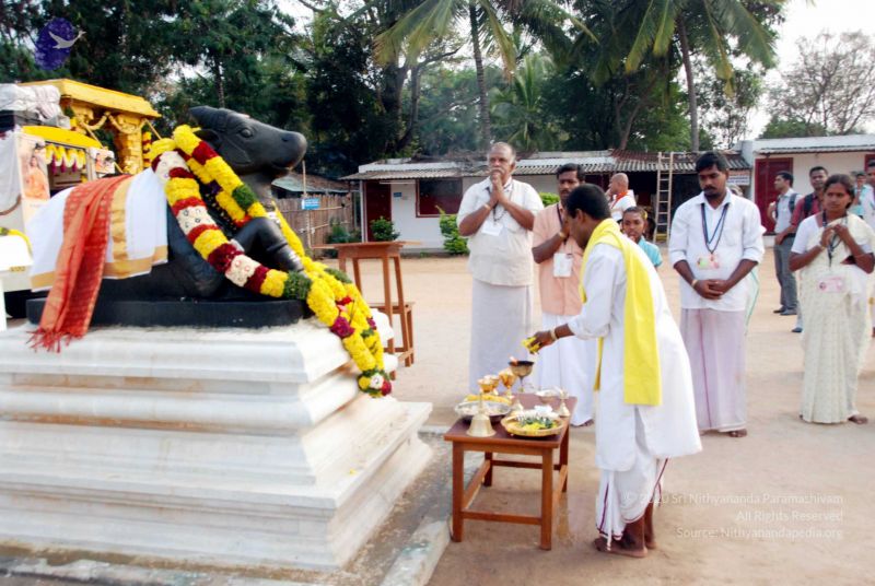 File:20091229DSC 8779 CMP WM001.jpg