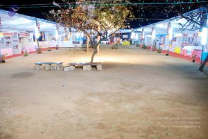 20091229DSC 8941 CMP WM01.jpg