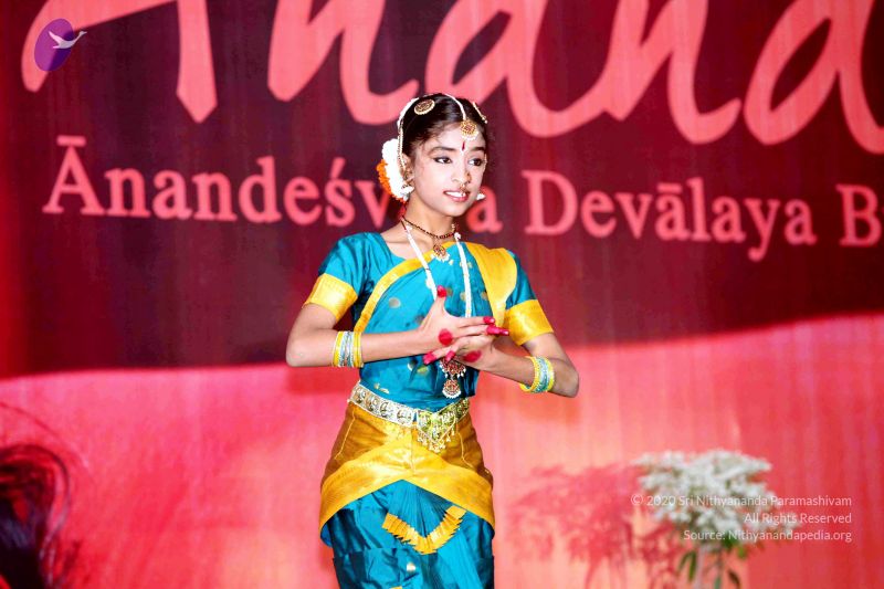 File:20091229IMG 1056 CMP WM01.jpg