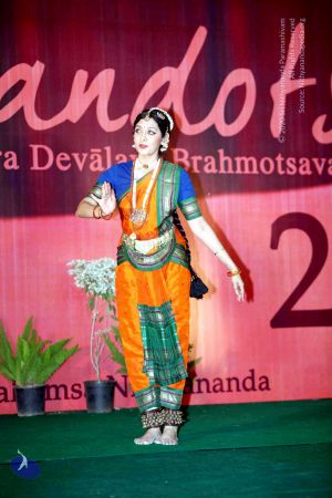 20091229IMG 1277 CMP WM01.jpg