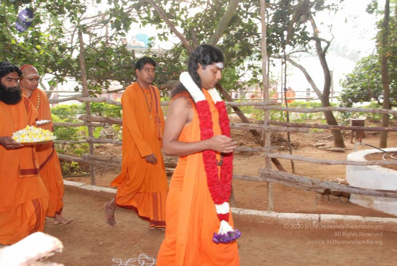 File:20091230DSC 9045 CMP WM0001.jpg