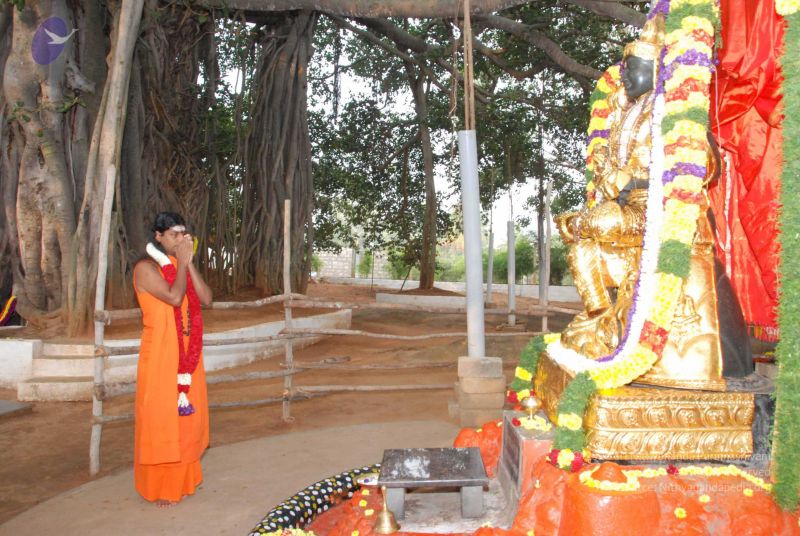 File:20091230DSC 9046 CMP WM0001.jpg