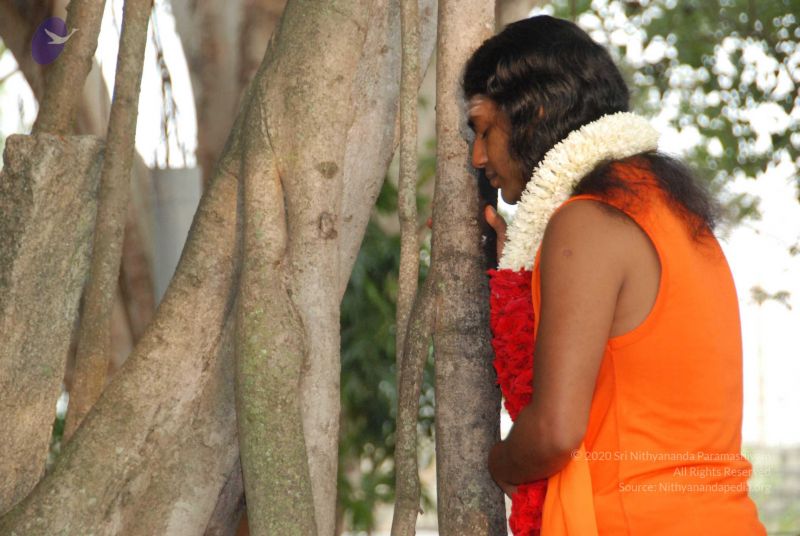 File:20091230DSC 9051 CMP WM0001.jpg