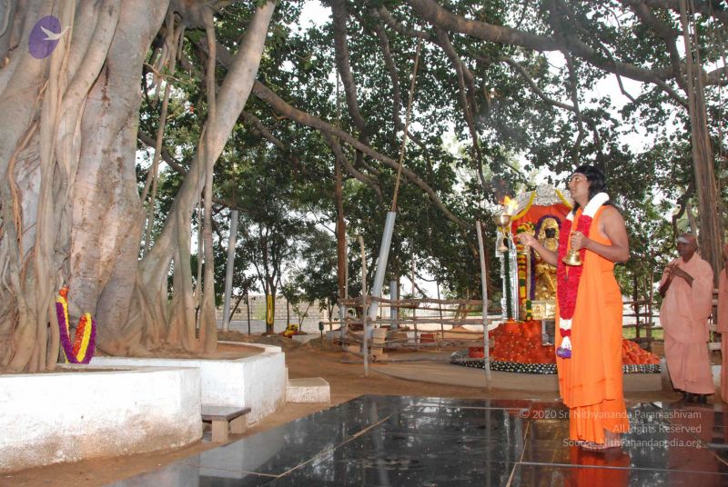 File:20091230DSC 9055 CMP WM0001.jpg