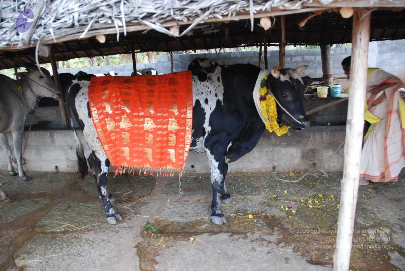 File:20091230DSC 9634 CMP WM0001.jpg