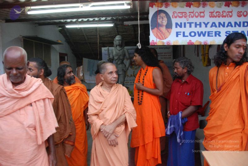 File:20091230DSC 9706 CMP WM0001.jpg