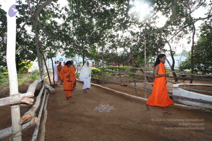 20091230IMG 1443 CMP WM0001.jpg