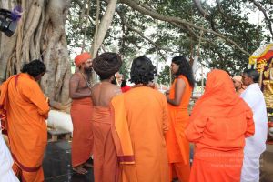 20091230IMG 1447 CMP WM0001.jpg