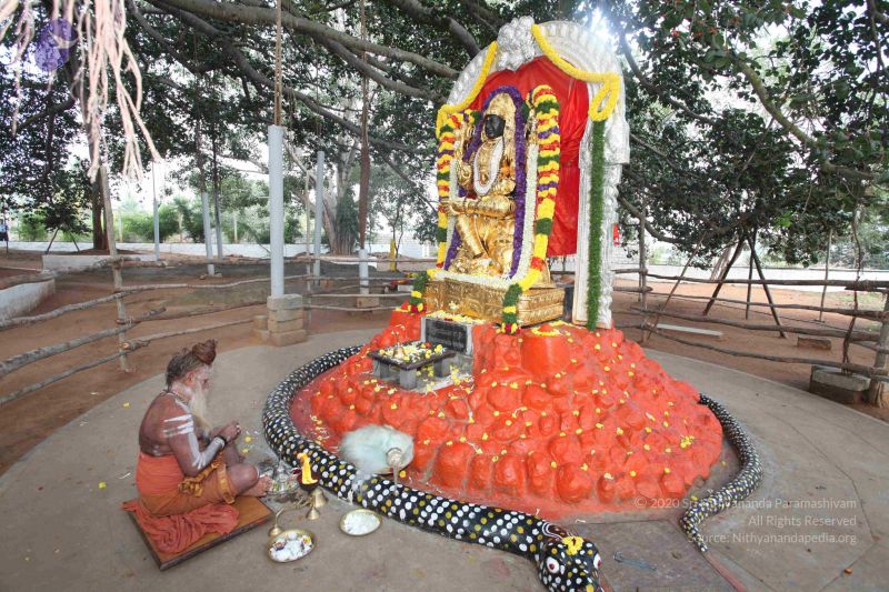 File:20091230IMG 1449 CMP WM0001.jpg